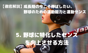 新品未開封 DVD野球3枚組 バネトレ 野球センスを向上させる方法